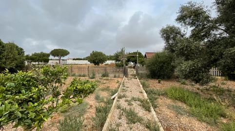 Foto 4 de Casa o xalet en venda a N/a, -1, Pelagatos - Pago del Humo, Cádiz