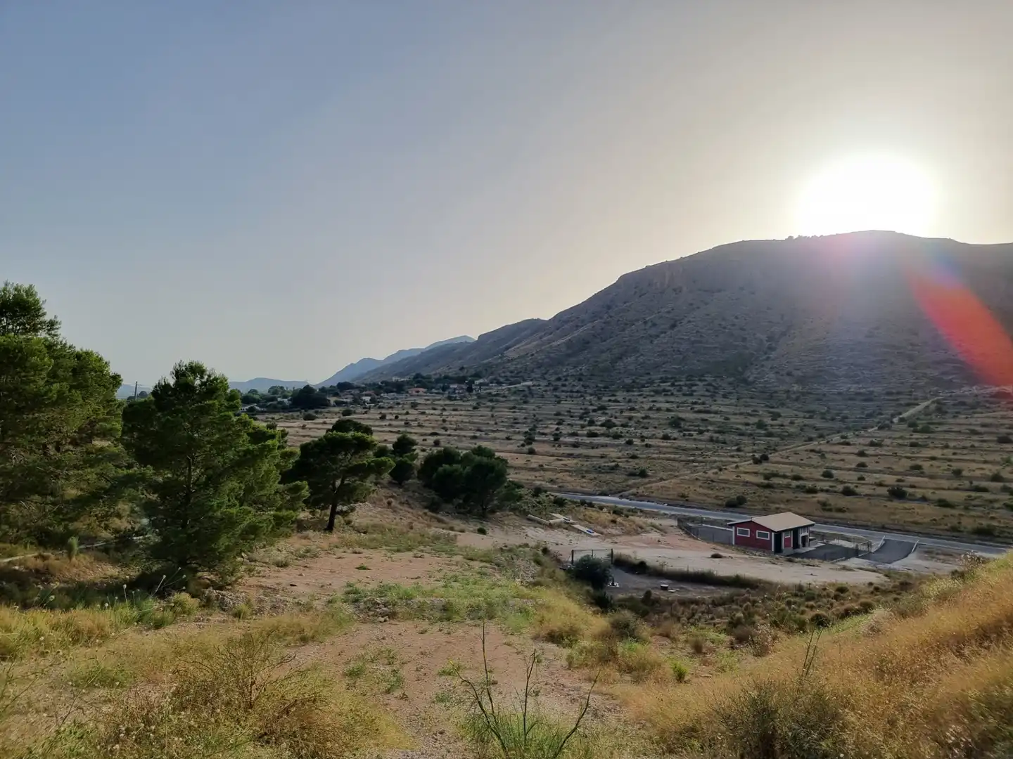 Land for sale in Aspe