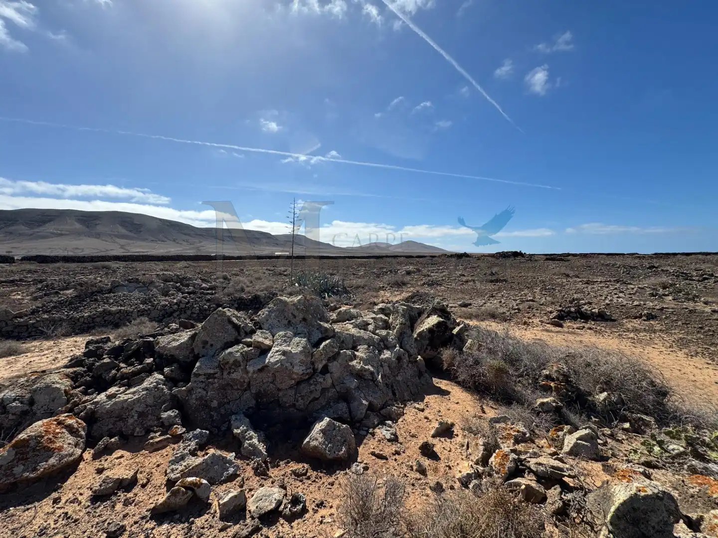Land for sale in La Oliva