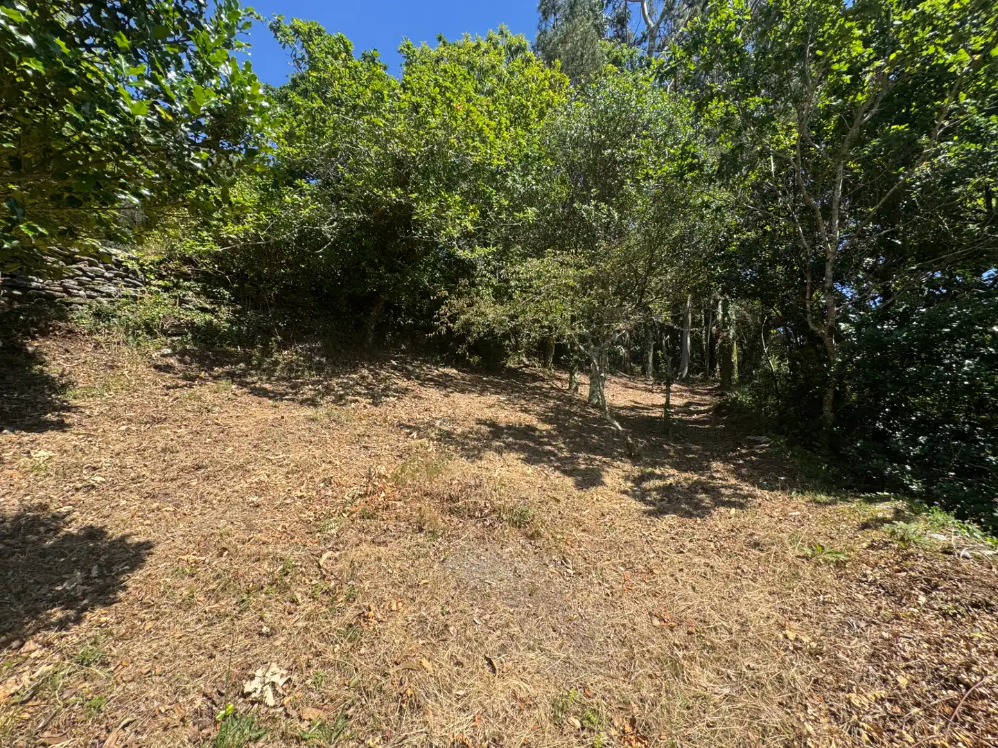 Haus mit Garten zum Verkauf in Lugar Riomao 11, imagen 19