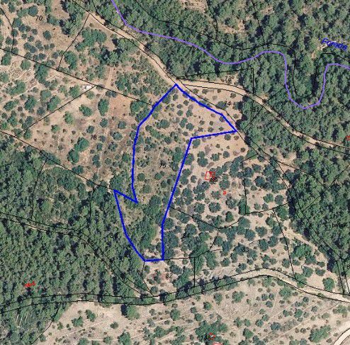 Finca rústica en venta en Sueras / Suera