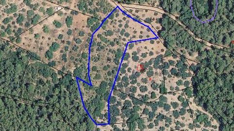 Terreno Rústico en venta en Sueras  Suera.