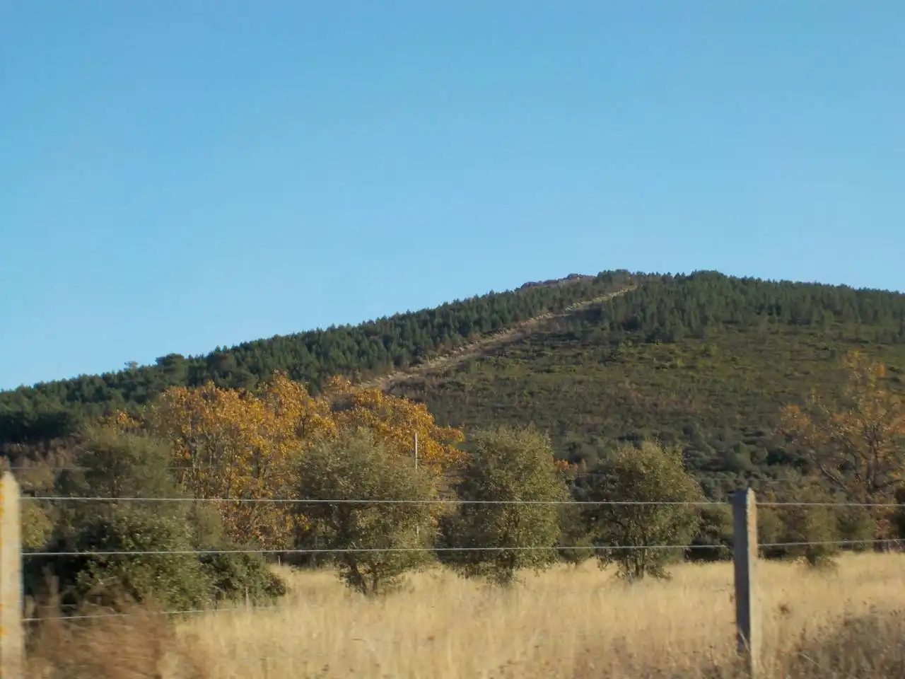 Terreny rústic en venda a Serradilla del Arroyo, imagen 8