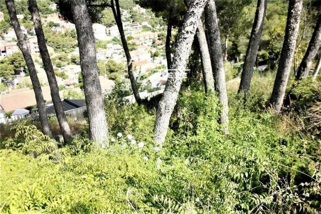 Terreno en Venta en el Greco en Mas Trader - Corral d'En Tort - Corral d'En Cona