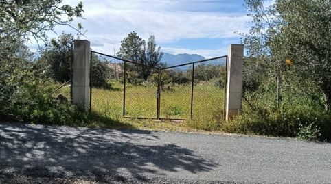 Foto 4 de Finca rústica en venda a Aldover, Tarragona