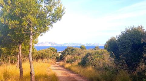 Photo 3 of Residential for sale in Betlem, Illes Balears