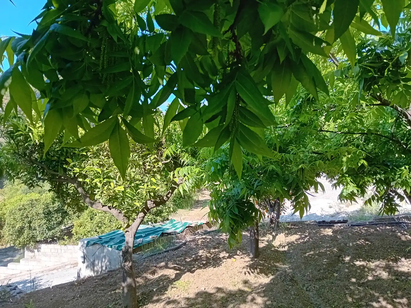Casa rústica en venda a Yunquera, imagen 16