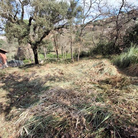 Terreno residencial en Venta en Maçanet de la Selva pueblo