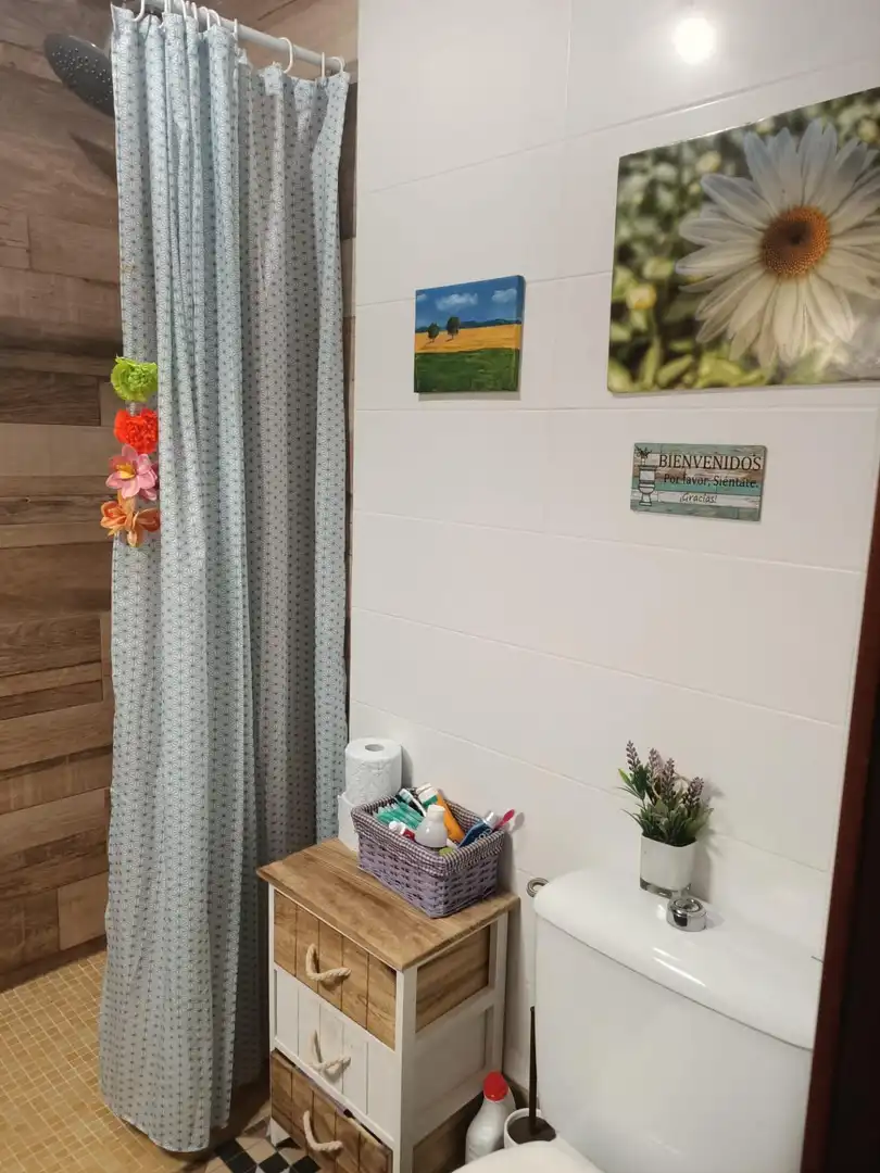 Bany de Casa o xalet en venda en Piedrabuena amb Aire condicionat, Calefacció i Jardí privat