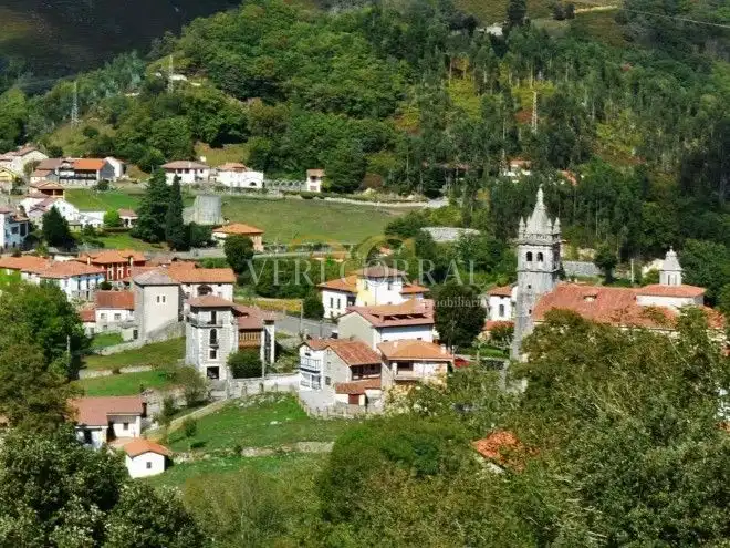 Vista exterior de Casa adosada en venda en Peñamellera Alta amb Calefacció