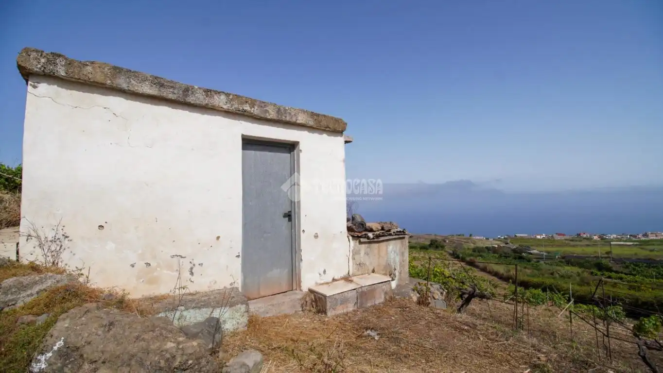Finca rústica en venta en El Sauzal