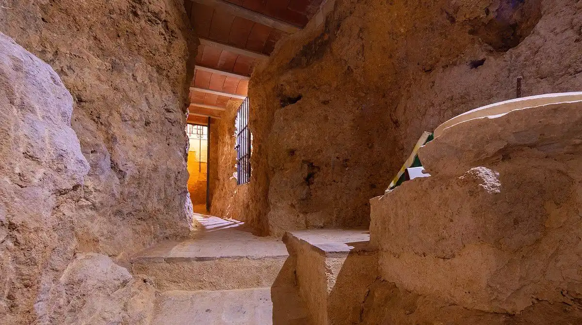 Maison avec terrasse à vendre à Gil de palma, imagen 11