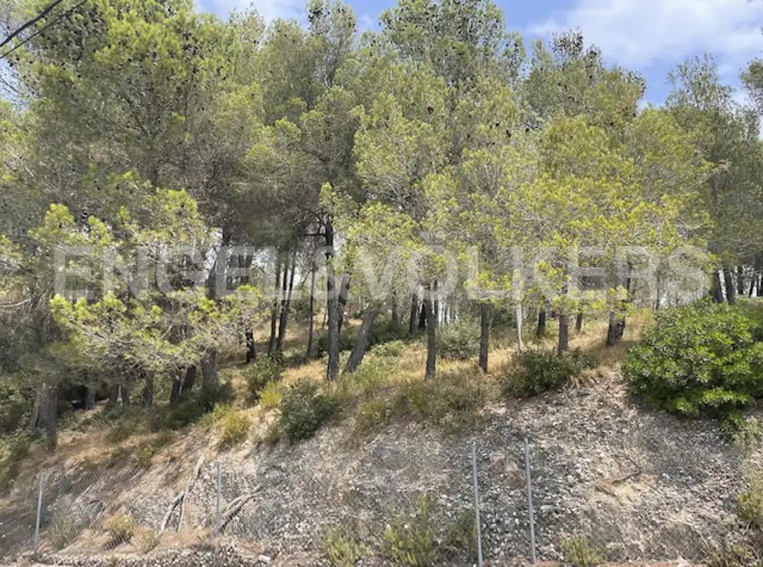 Terreny residencial en venda a Sant Muç, imagen 7