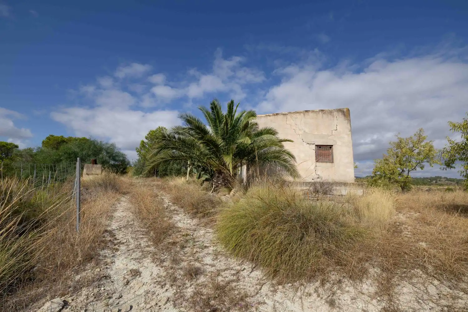 Finca rústica en venta en Mula