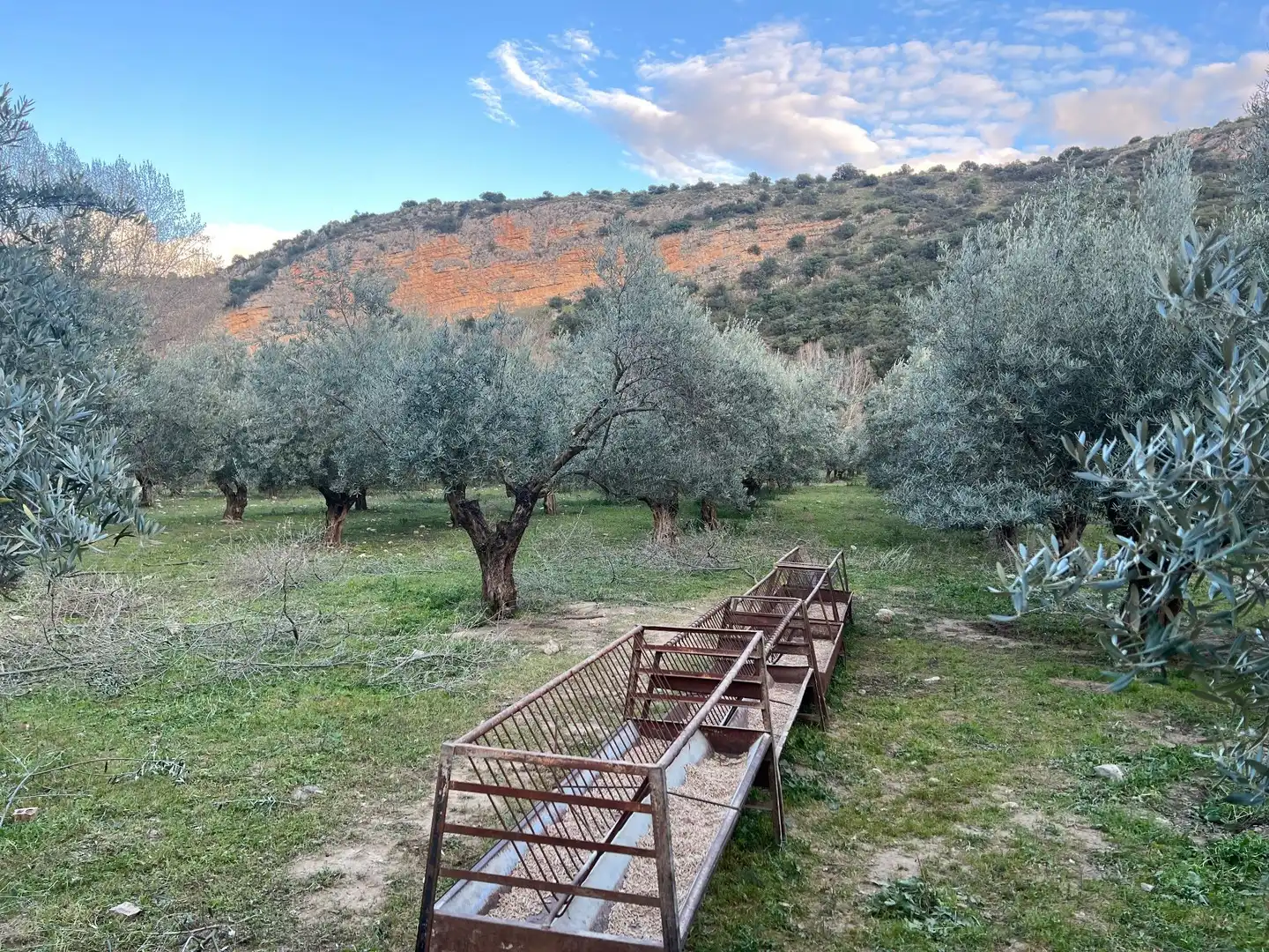 Jardín de Terreno en venta en Jaén