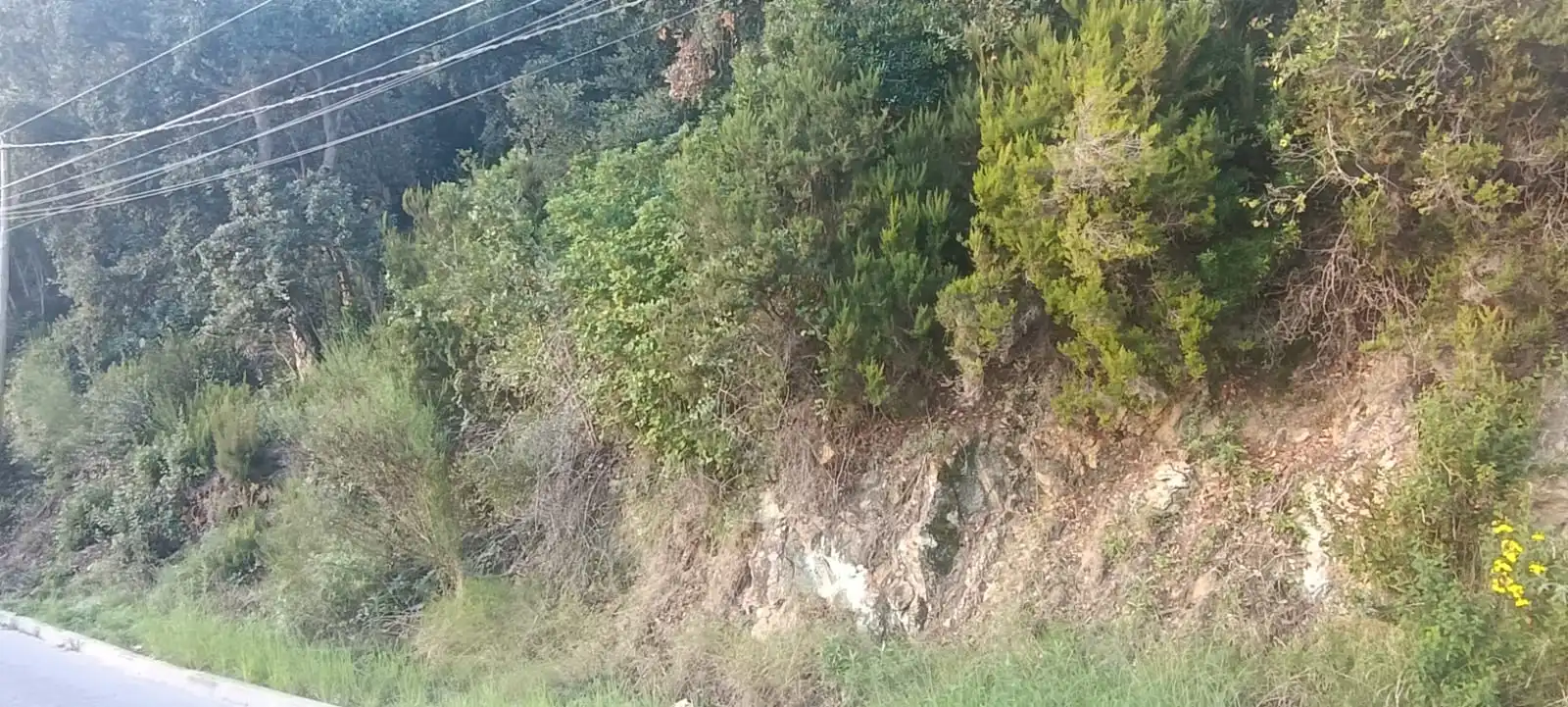 Terreno residencial en venta en Palafolls, imagen 2