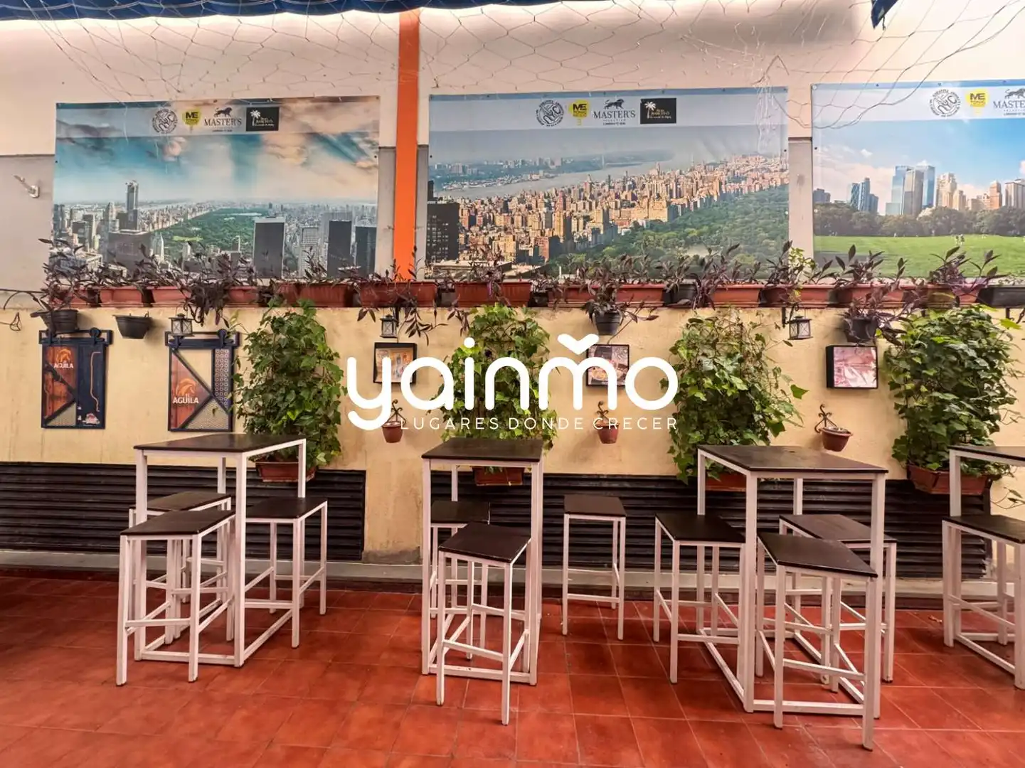 Local comercial en traspaso en Jaén - Esteban Ramírez 2, imagen 13