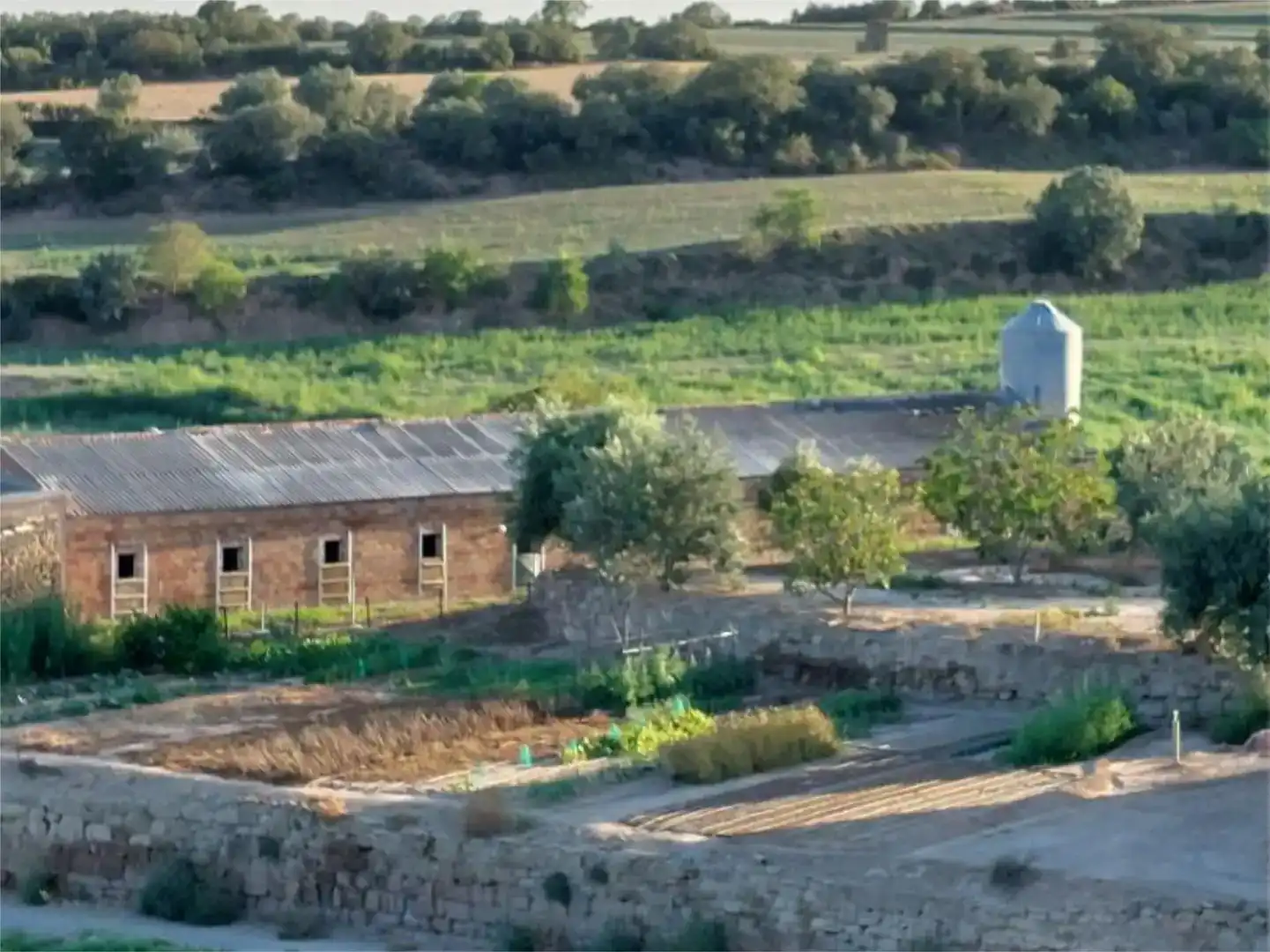 Vista exterior de Finca rústica en venda en Cubells amb Jardí privat