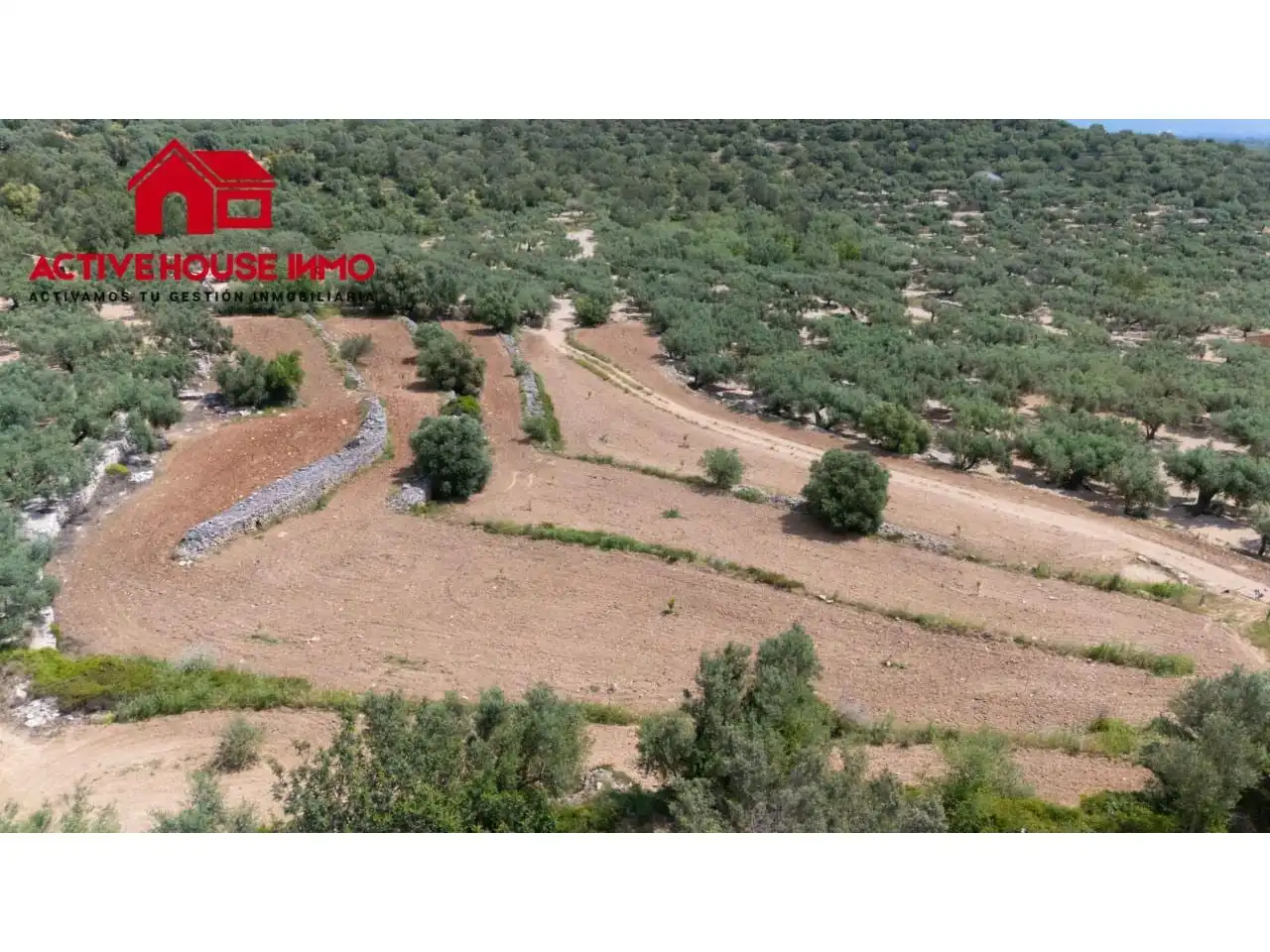 Terreno rústico en venta en Mas de Barberans, imagen 17