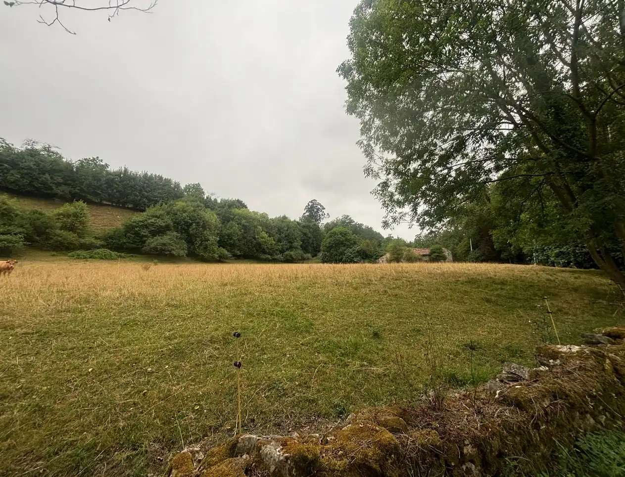 Finca rústica en venda en Gijón  amb Jardí privat