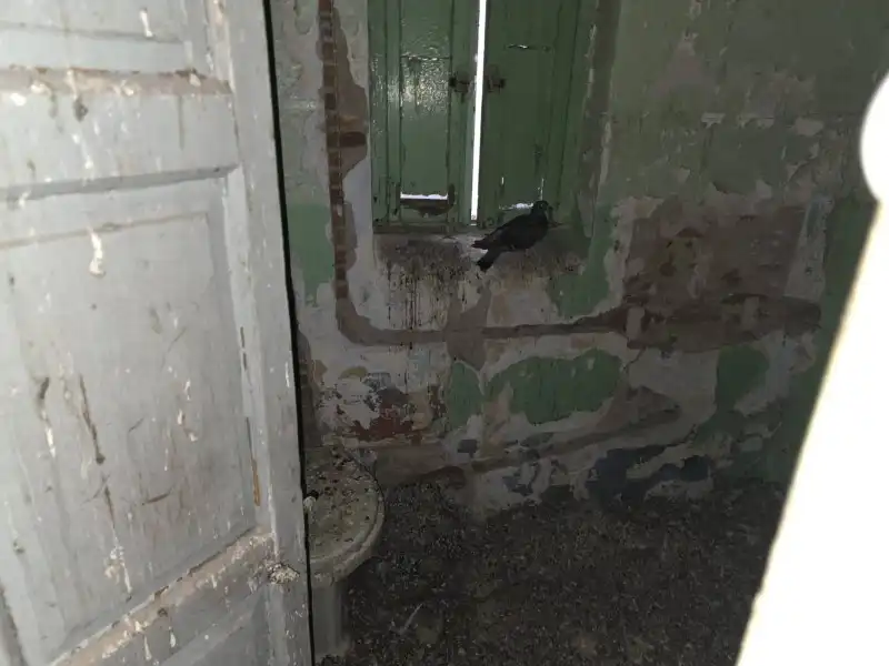 Villa con giardino in vendita a Miralvalle - Av. Virgen del Puerto - La Data, imagen 12