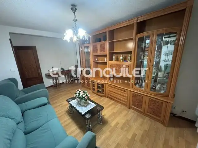 Wohnzimmer von Wohnung zur Miete in Madrid mit Klimaanlage, Terrasse und Möbliert