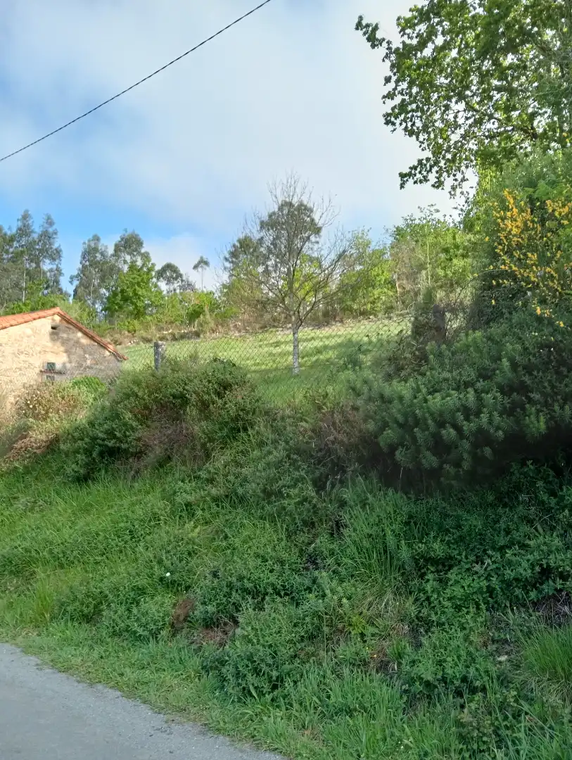 Finca rústica en venda en Coristanco