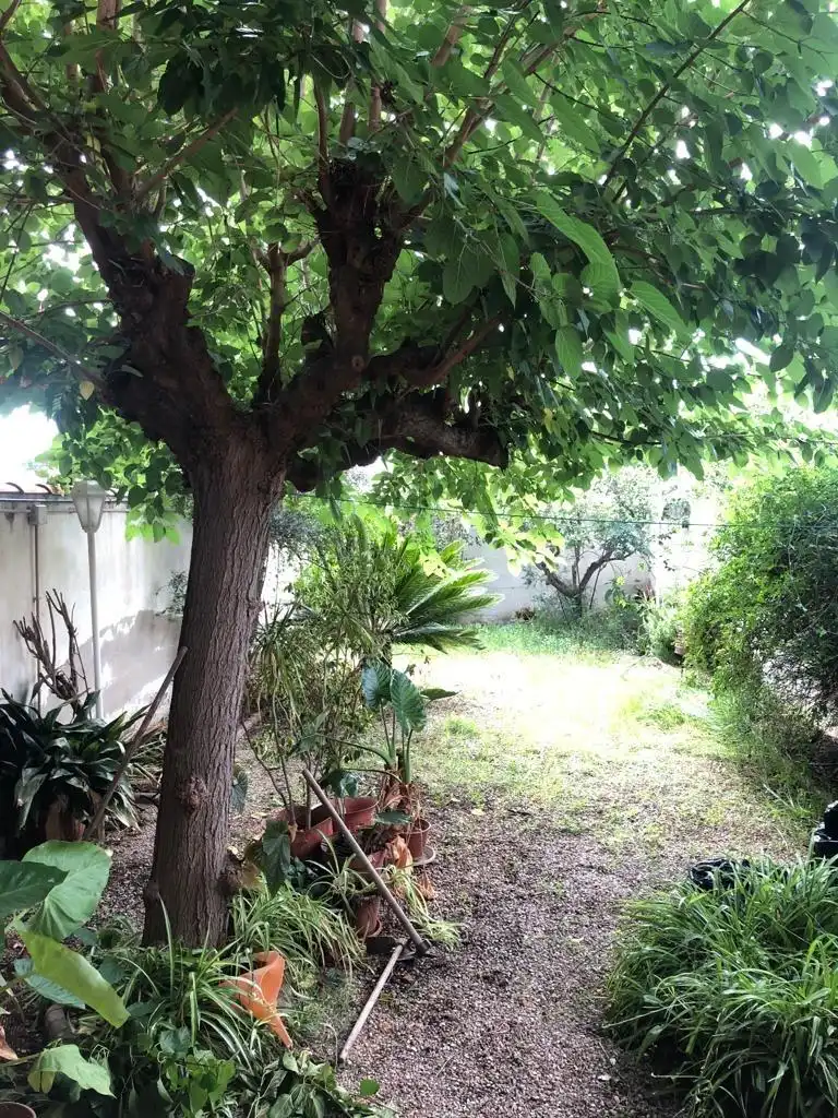 Garten von Einfamilien-Reihenhaus zur Miete in Murcia mit Klimaanlage, Privatgarten und Abstellraum