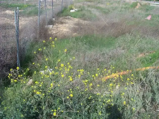Terreni e lotti in vendita a Calle Casta Álvarez