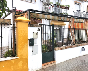 Vista exterior de Casa adosada en venda en Écija amb Jardí privat i Terrassa