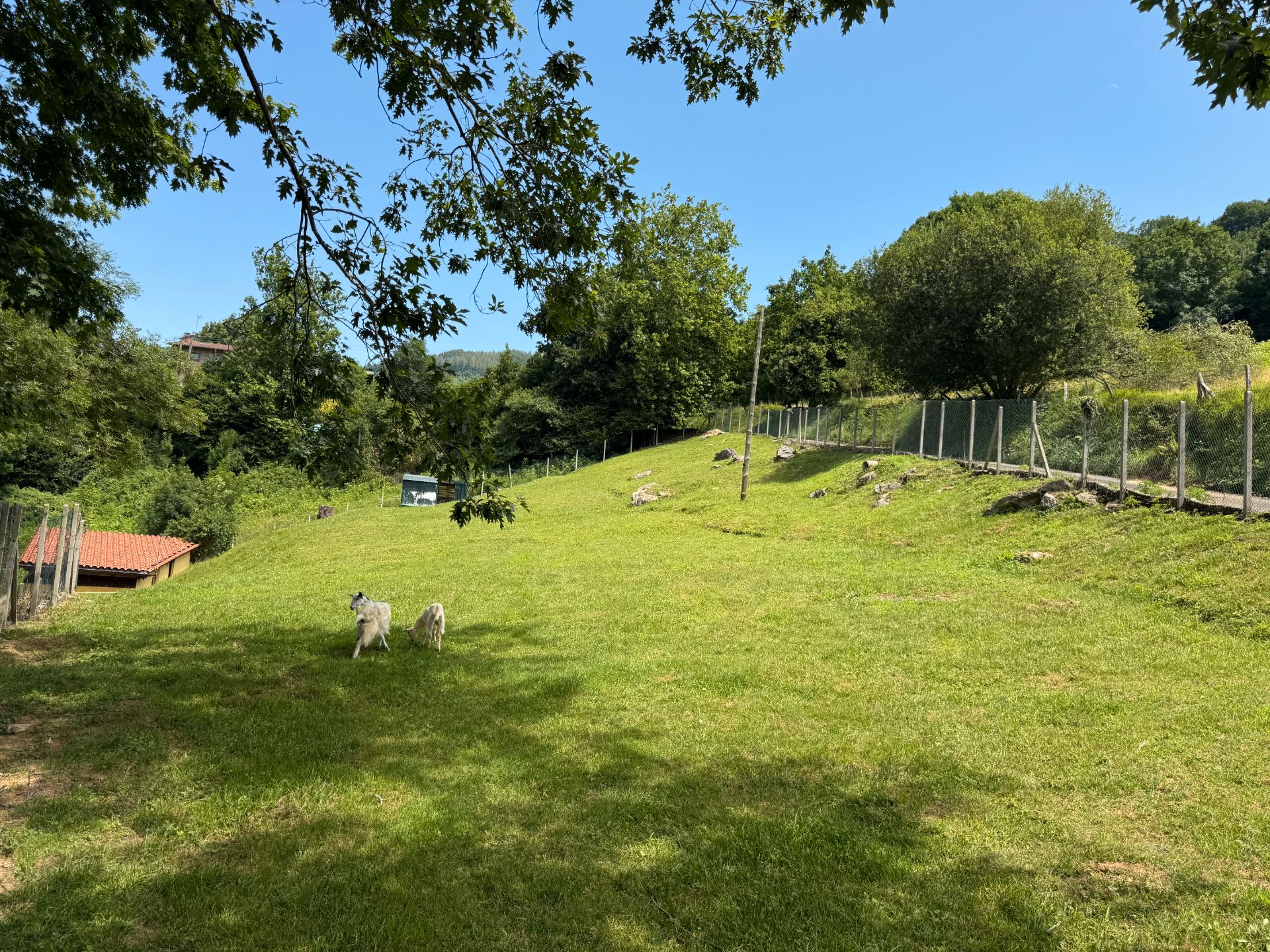 Land for sale in Ibarra