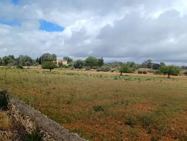 Rural land for sale in Felanitx Poble, imagen 10