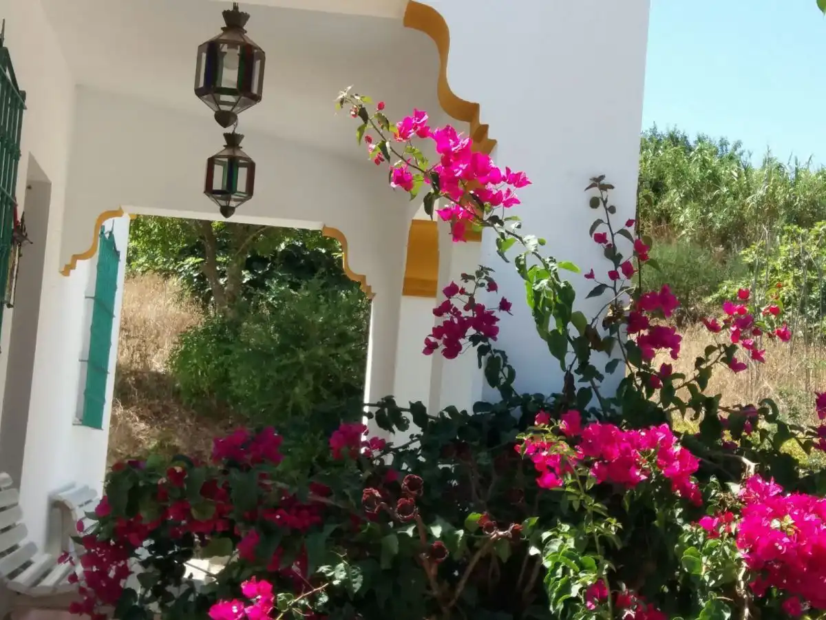 Terrain rustique à vendre à Vejer, imagen 2