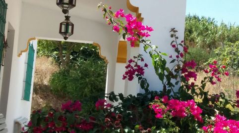 Finca Rúst. en venta en Nueva Zona, 3 dormitorios., imatge 2