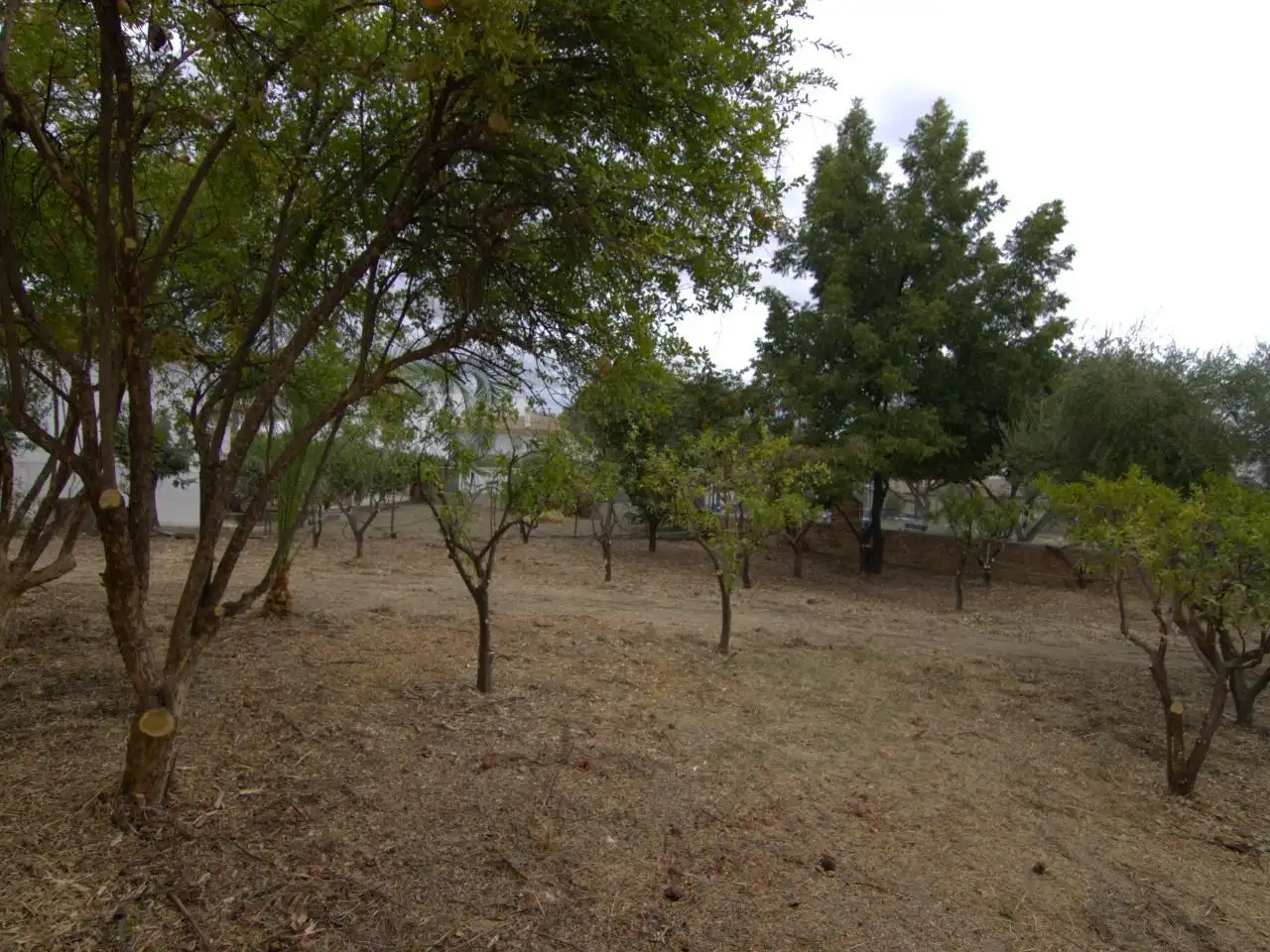Residencial en venda en Guaro