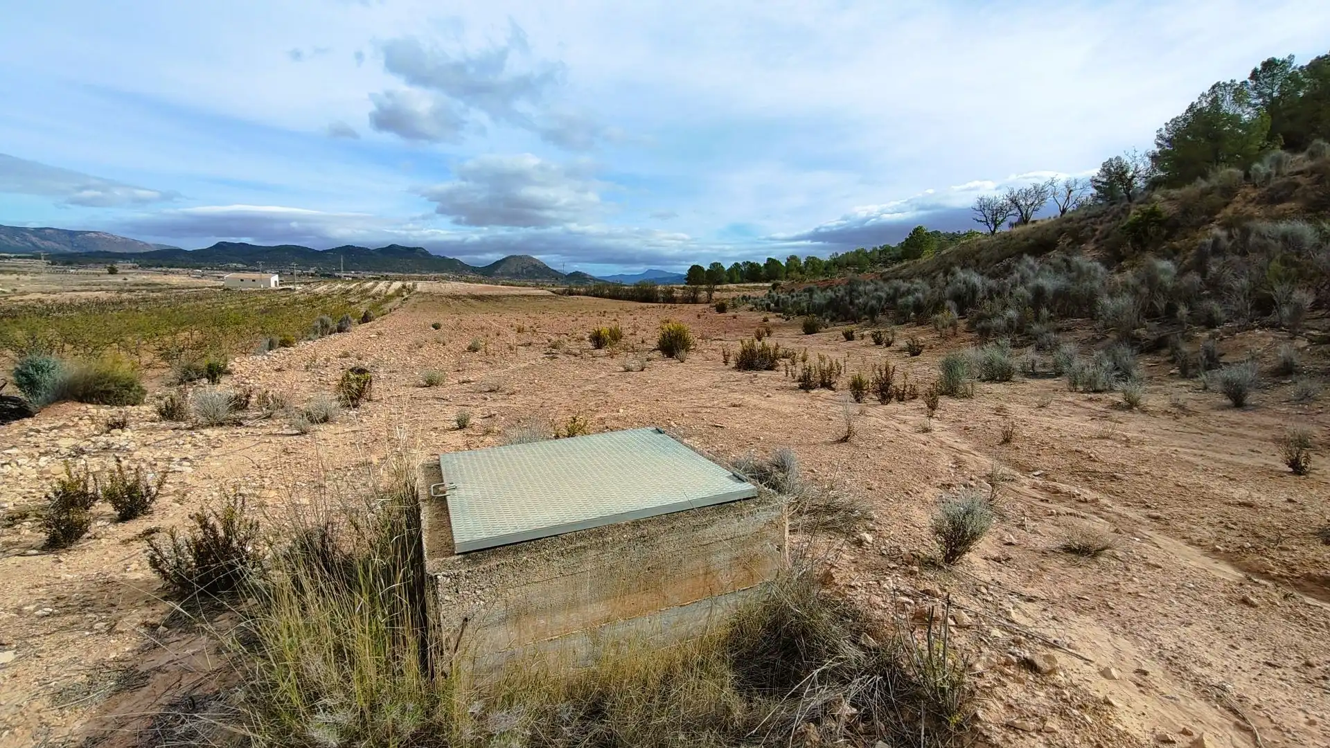 Terreny rústic en venda a Monóvar  / Monòver, imagen 6