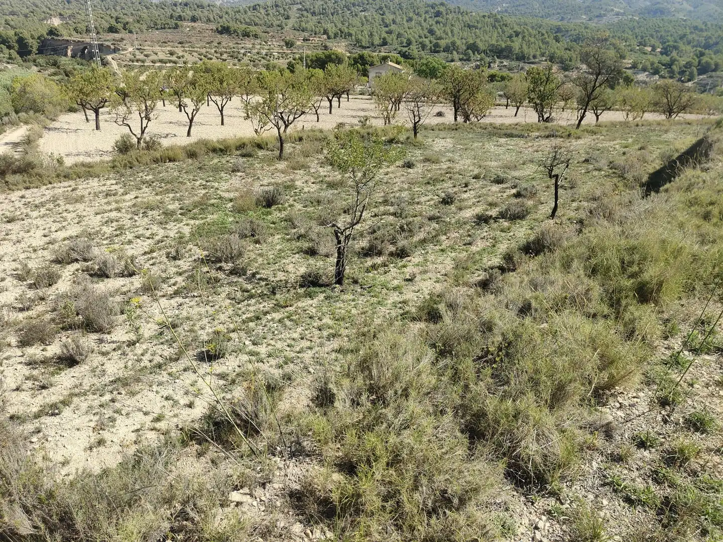 Terreny residencial en venda a Tibi, imagen 4