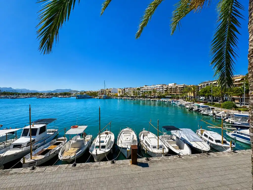 Vista exterior de Casa o xalet en venda en Alcúdia amb Jardí privat, Terrassa i Moblat
