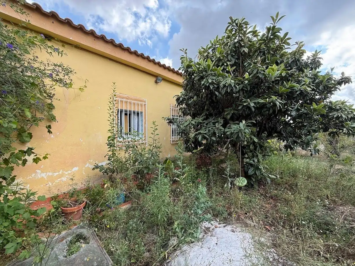 Detached house with pool for sale in Montserrat, imagen 16