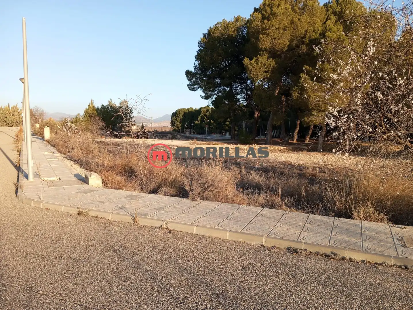 Terreni e lotti in vendita a Lugar (BARR) GRANADA 0, imagen 15