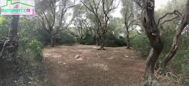 Rural land for sale in Felanitx Poble, imagen 2