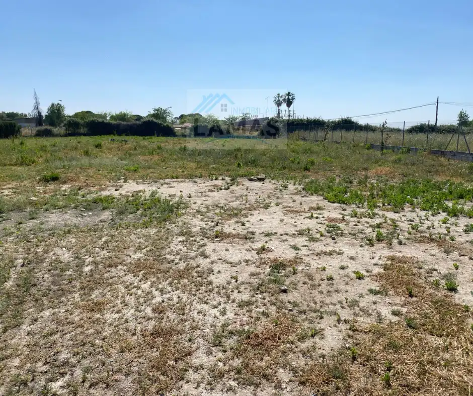Terrains et parcelles à vendre à Diseminado Dehesa los Pinos, imagen 4