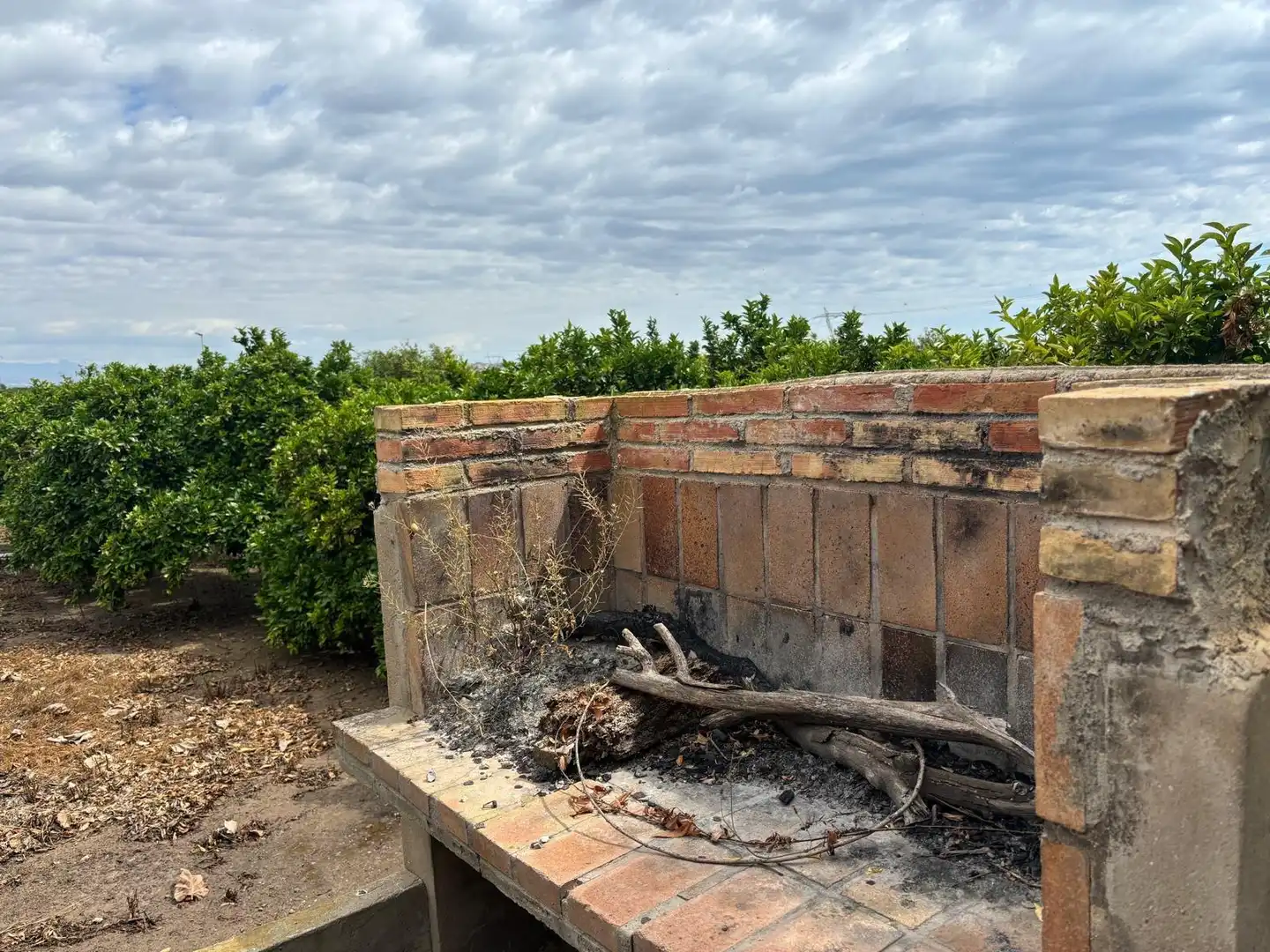 Jardín de Finca rústica en venta en Guardamar del Segura