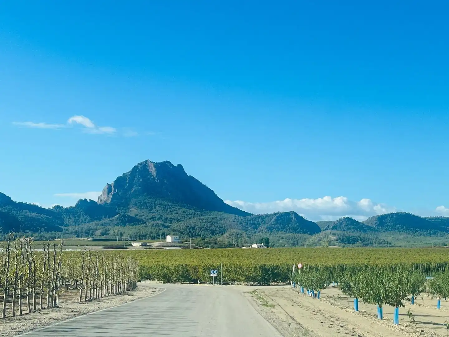 Vista exterior de Casa o chalet en venta en Cieza con Calefacción, Jardín privado y Trastero