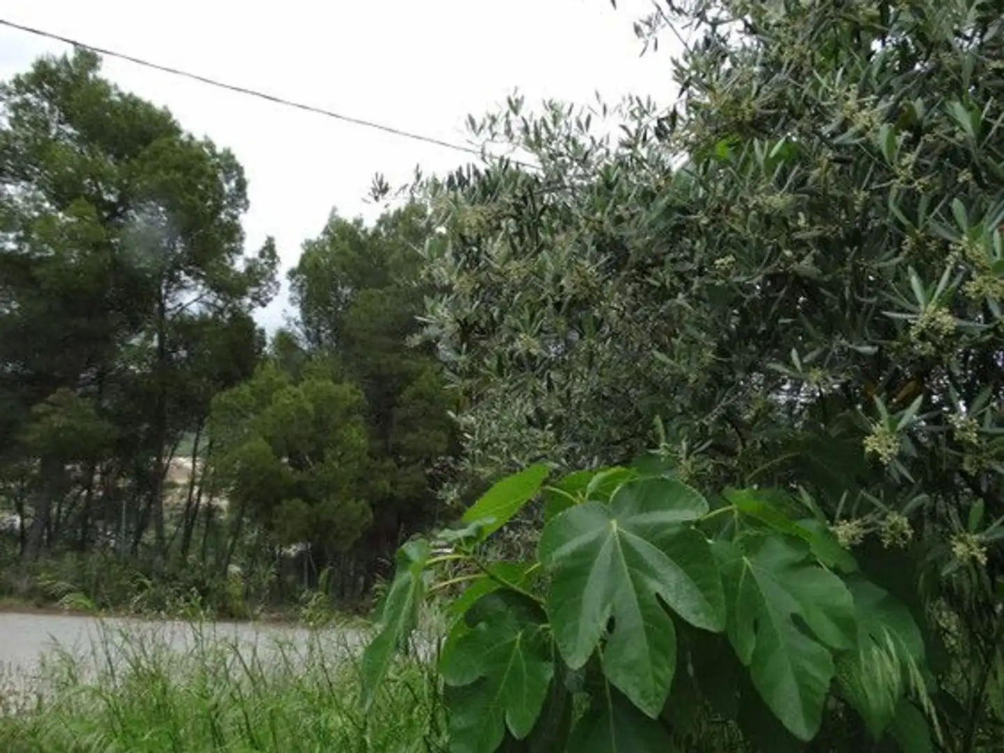 Xalet en venda a Moratalla, imagen 6
