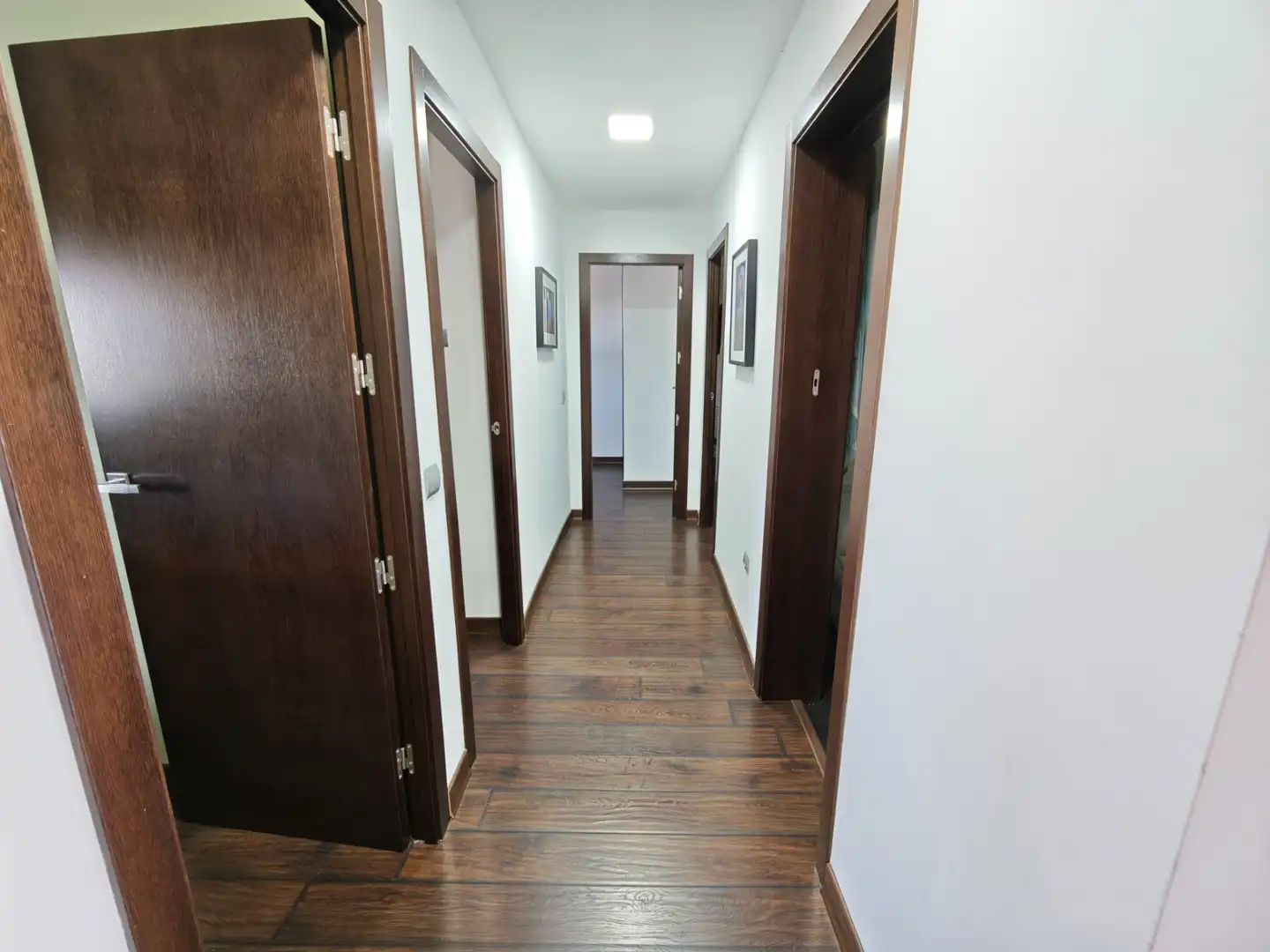 Houses for rent in Cuatro Pinos - El Carmen