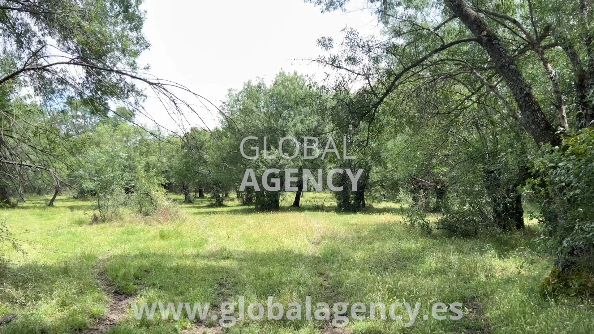 Rural land for sale in Soto del Real, imagen 16
