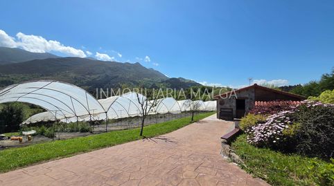 FINCA ECOLÓGICA CON VIVIENDA EN VENTA EN GOBIENDES (COLUNGA) – NATURALEZA, PRODUCCIÓN Y VIVIENDA.