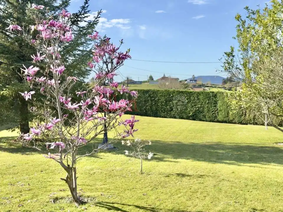 Villa in vendita a La Carrera - Piedramuelle, imagen 44