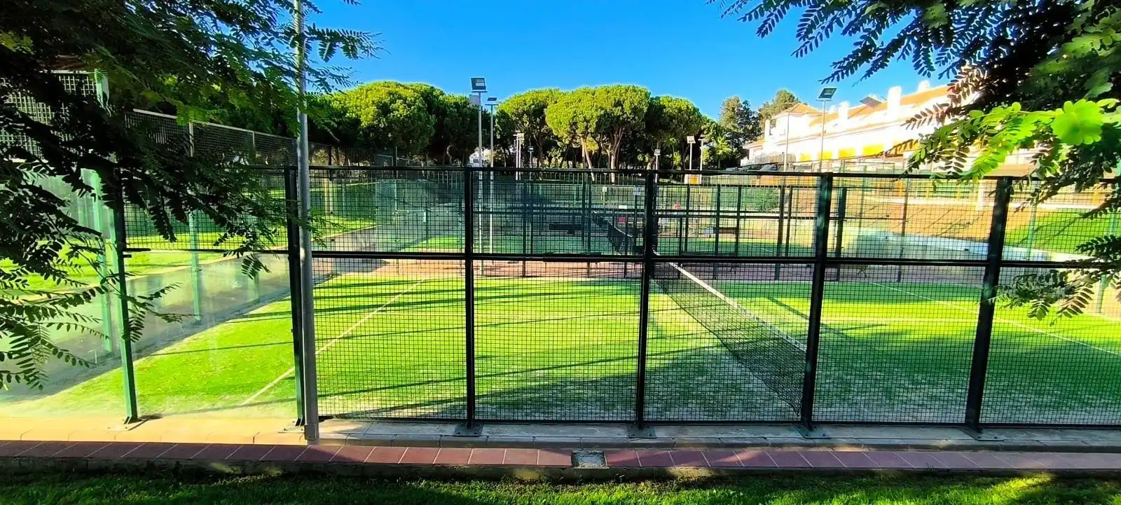 Adossat amb terrassa en venda a PEDRO DE ALVARADO, imagen 31